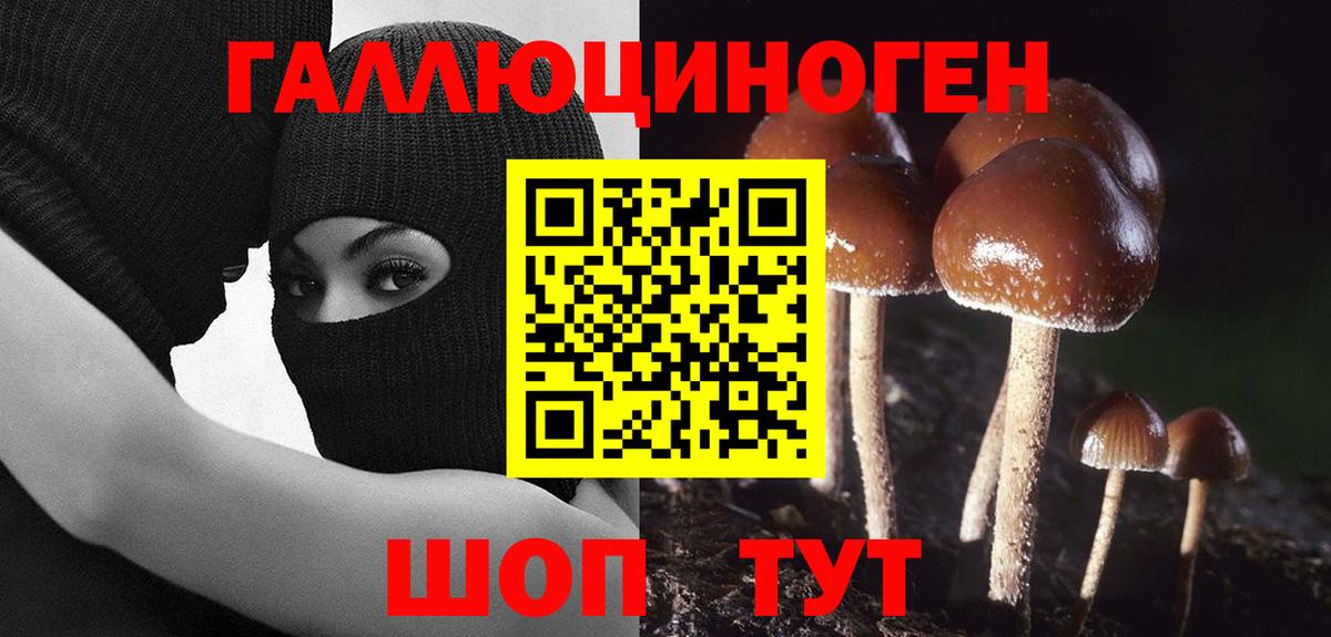 Галлюциногенные грибы Psilocybe  Галлюциногенные грибы прущие грибы  Назрань  Вход с VPN 
